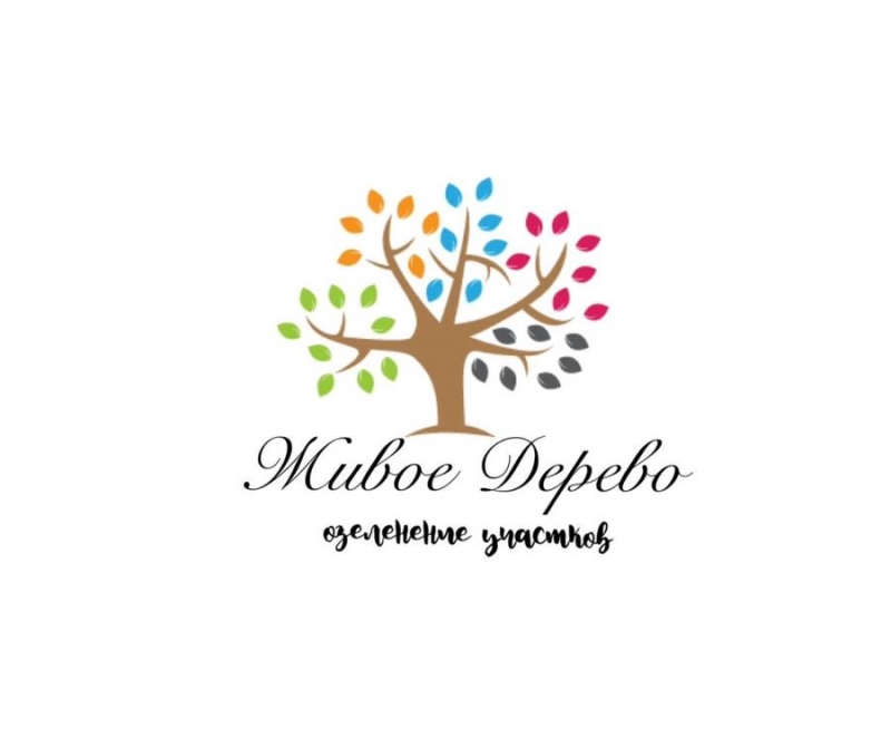 O�e���e��� �epp��op�� �oca��a ��y��o��p�� c �apa���e� ������ae��c��