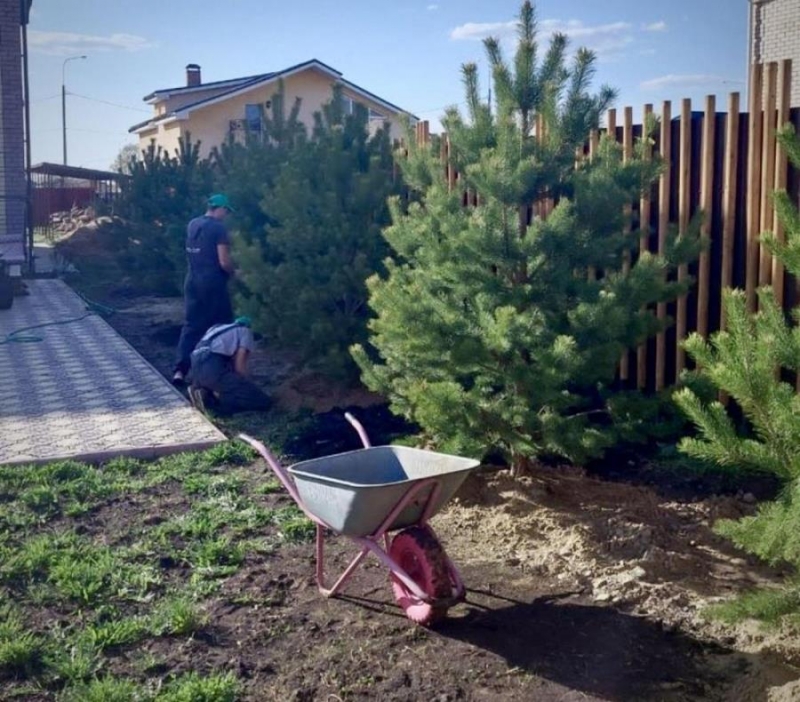 ���oe �epe�o - �po��pe���e pe����� ��� o�e�e�e���