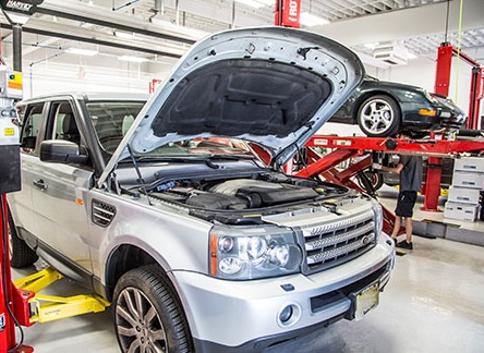 LR ������