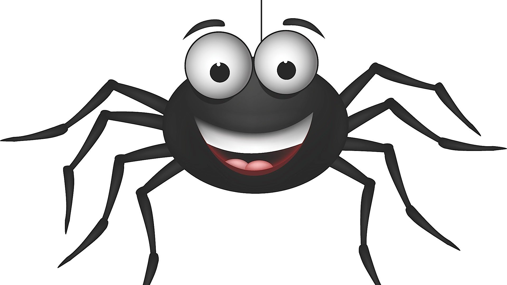 �������������������������� ��������� � ��������� Spider Project